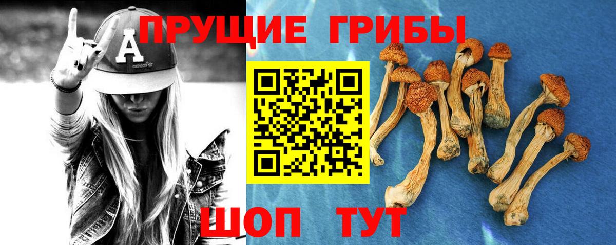 Псилоцибиновые грибы Cubensis  Вход с VPN  Галлюциногенные грибы прущие грибы  закладка  Соль-Илецк 