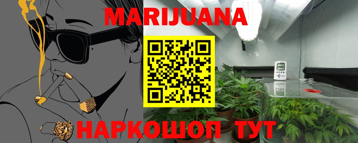 Каннабис SATIVA & INDICA Соль-Илецк